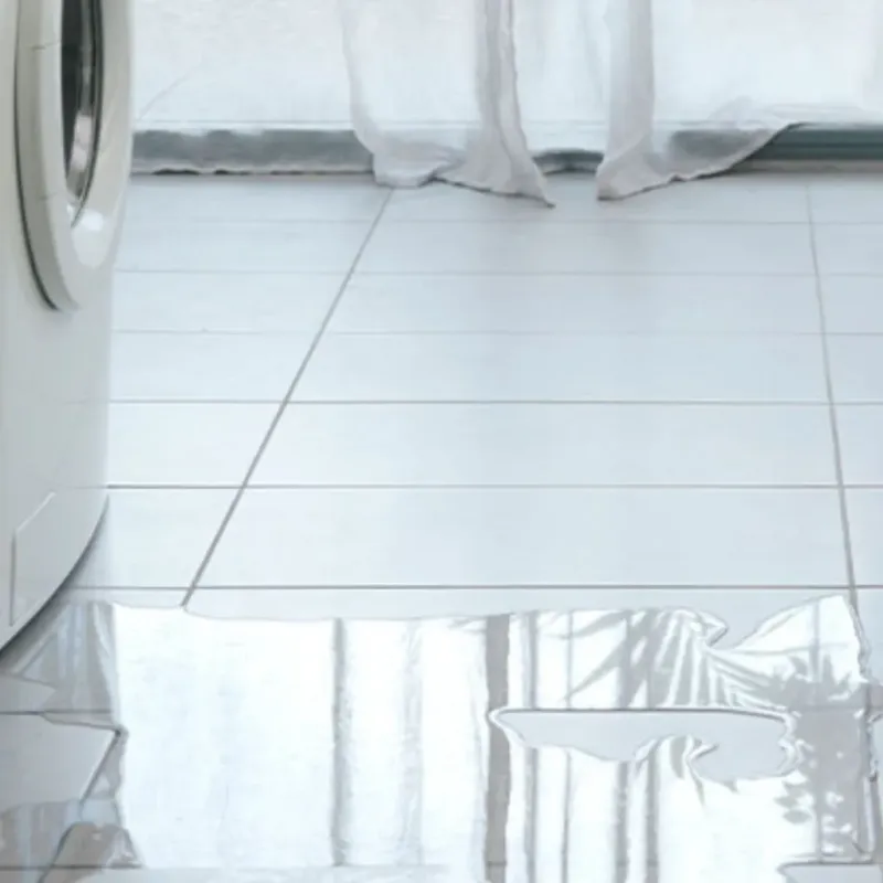 Appliance Leak Cleanup in Shiawassee County, MI
