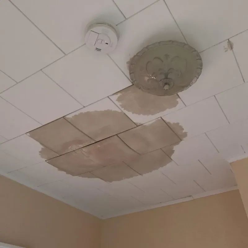 Ceiling Water Damage Repair in Shiawassee County, MI
