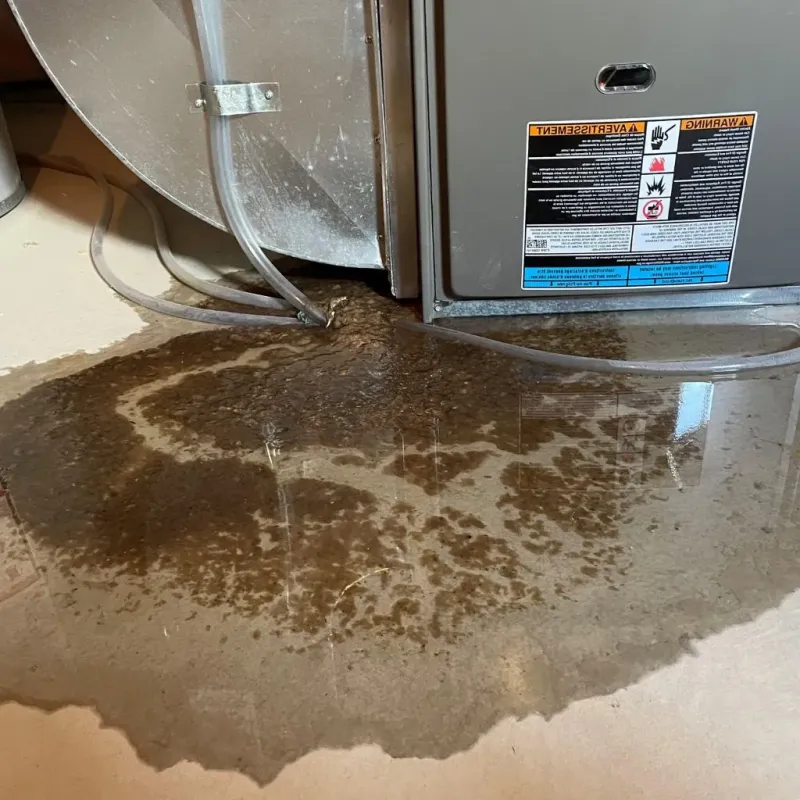 Pipe Burst and Leak Restoration in Shiawassee County, MI