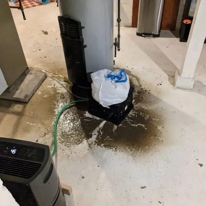 Sewage Backup Cleanup Service in Shiawassee County, MI